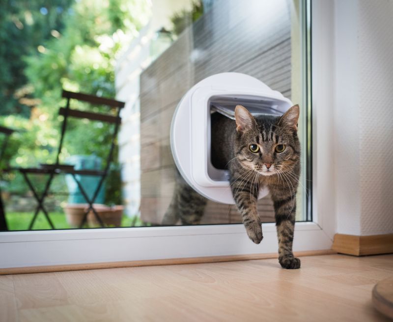 Pet Door in a Glass Door
